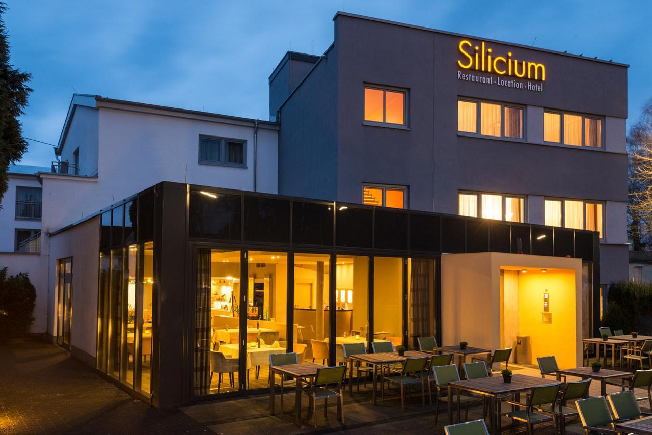 Hotel Silicium Höhr-Grenzhausen Exteriör bild